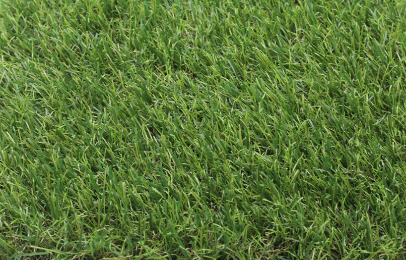 SUPEREAL Artificial Turf 3.98M (per M)